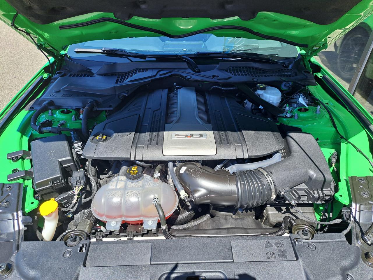 FORD MUSTANG GT V8 5.0L BVA