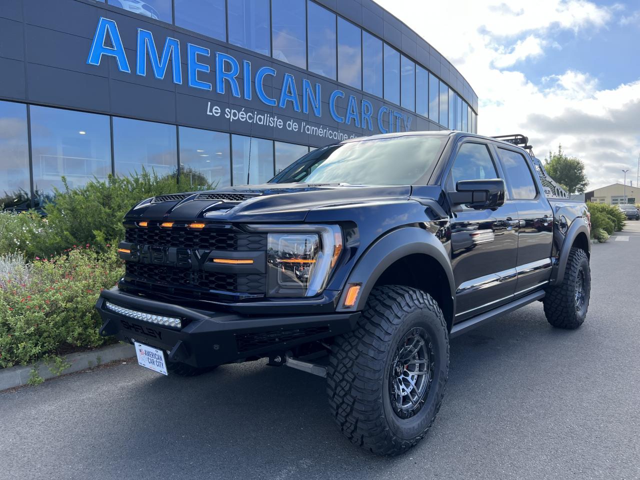 FORD F150 Raptor Shelby Baja