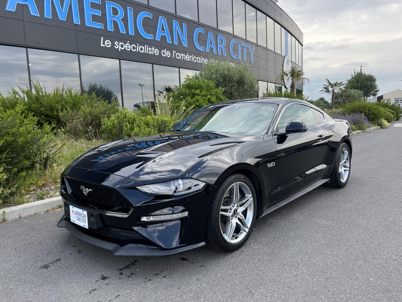 FORD MUSTANG GT V8 5.0L BVA10