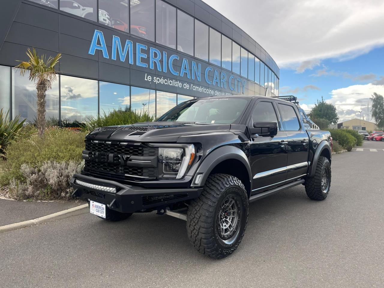FORD F150 Raptor Shelby Baja