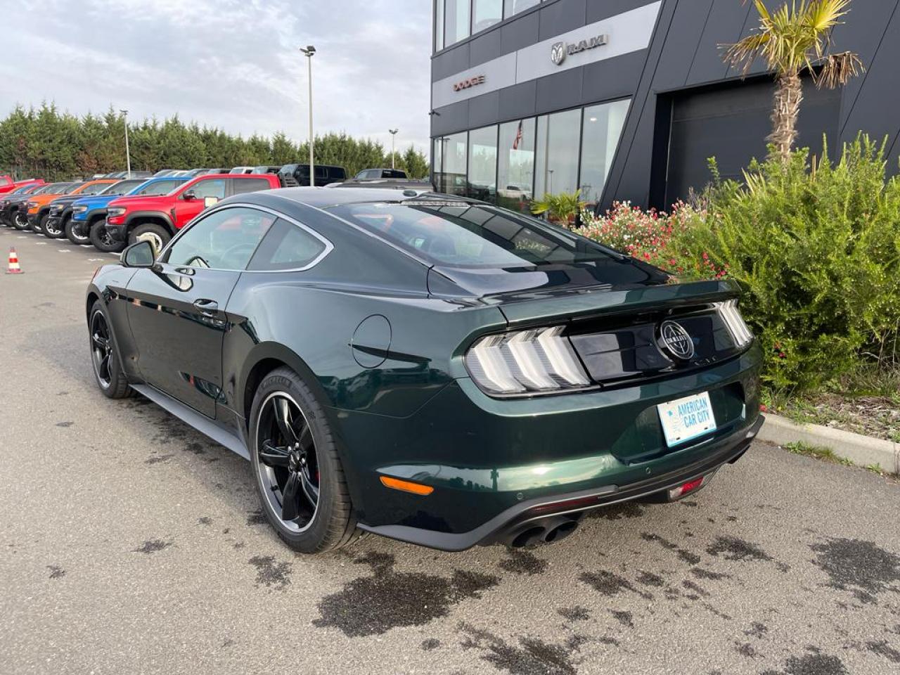 FORD MUSTANG BULLITT V8 5.0L MAGNERIDE
