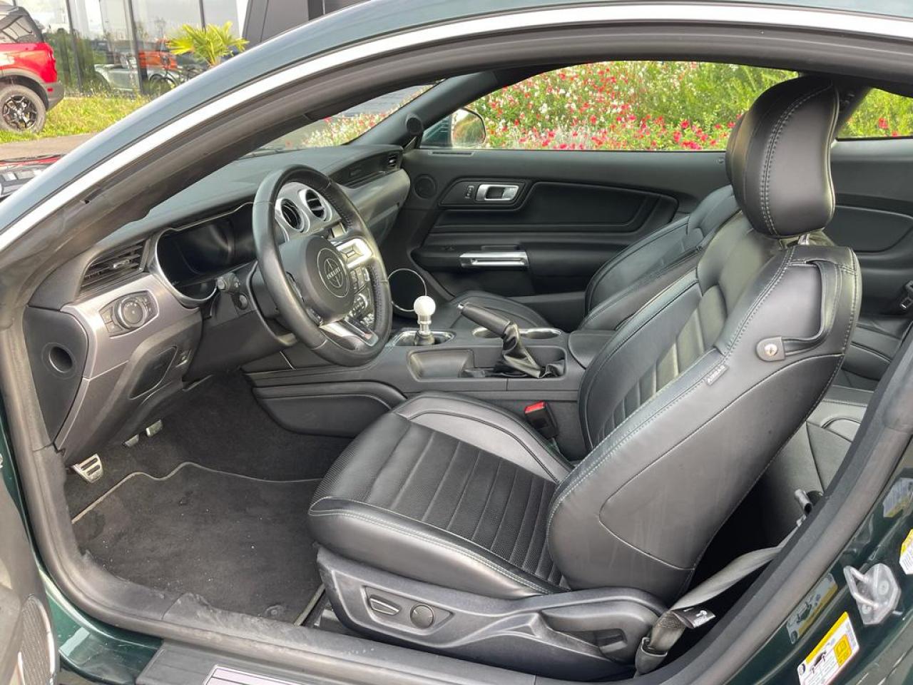 FORD MUSTANG BULLITT V8 5.0L MAGNERIDE