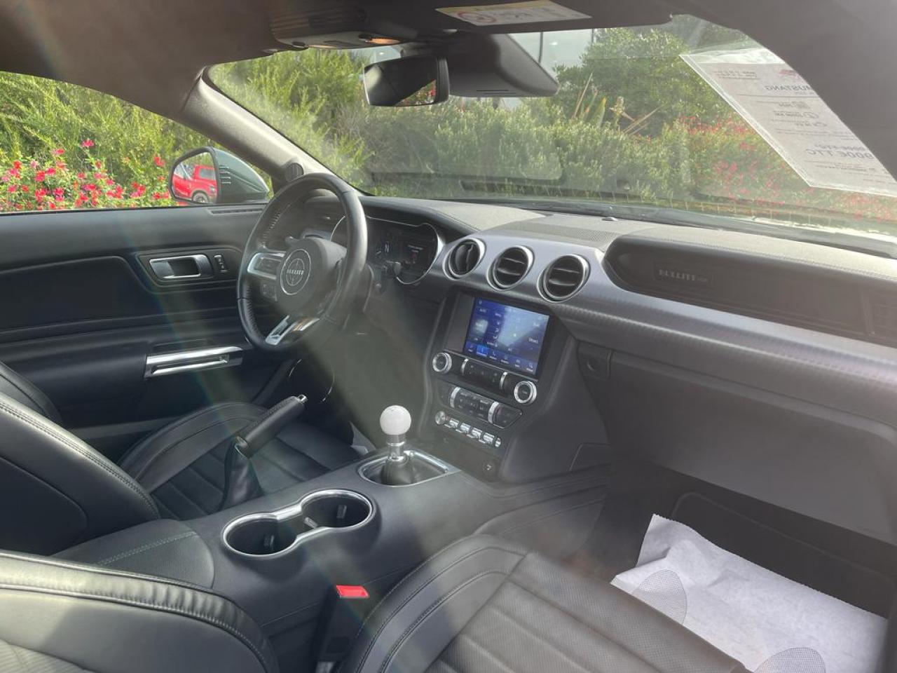 FORD MUSTANG BULLITT V8 5.0L MAGNERIDE