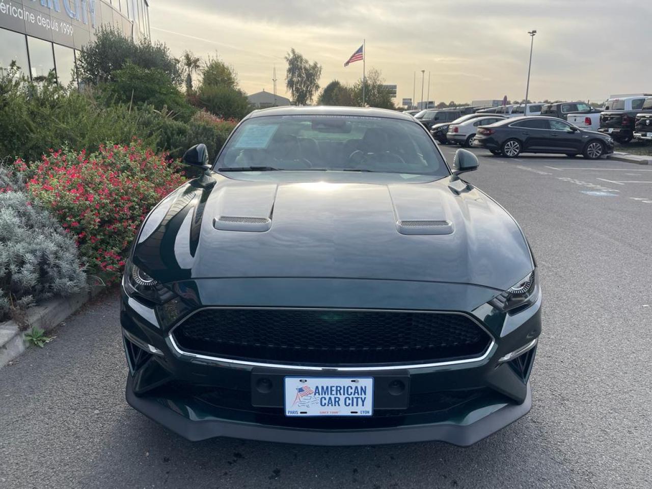 FORD MUSTANG BULLITT V8 5.0L MAGNERIDE