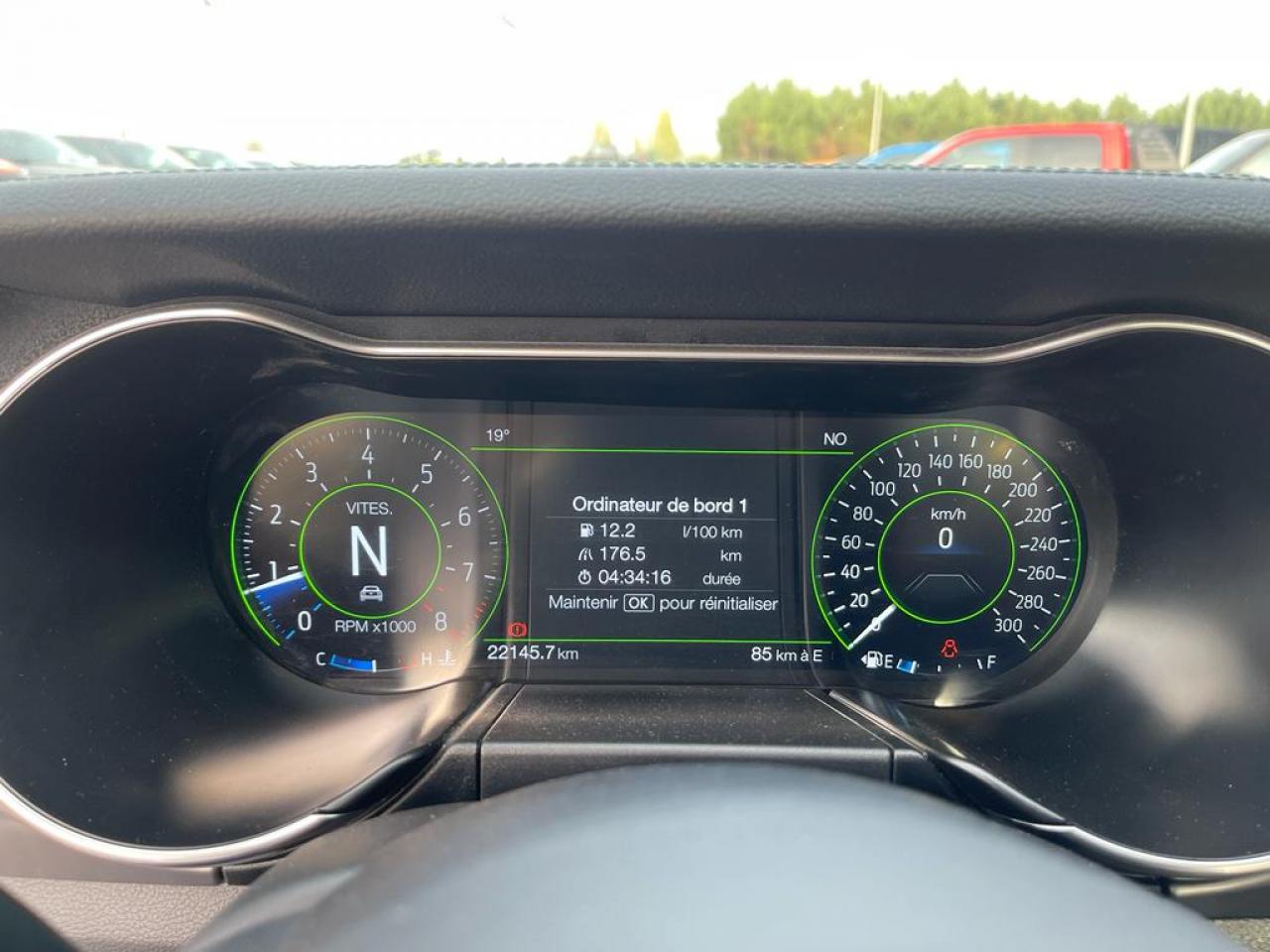 FORD MUSTANG BULLITT V8 5.0L MAGNERIDE