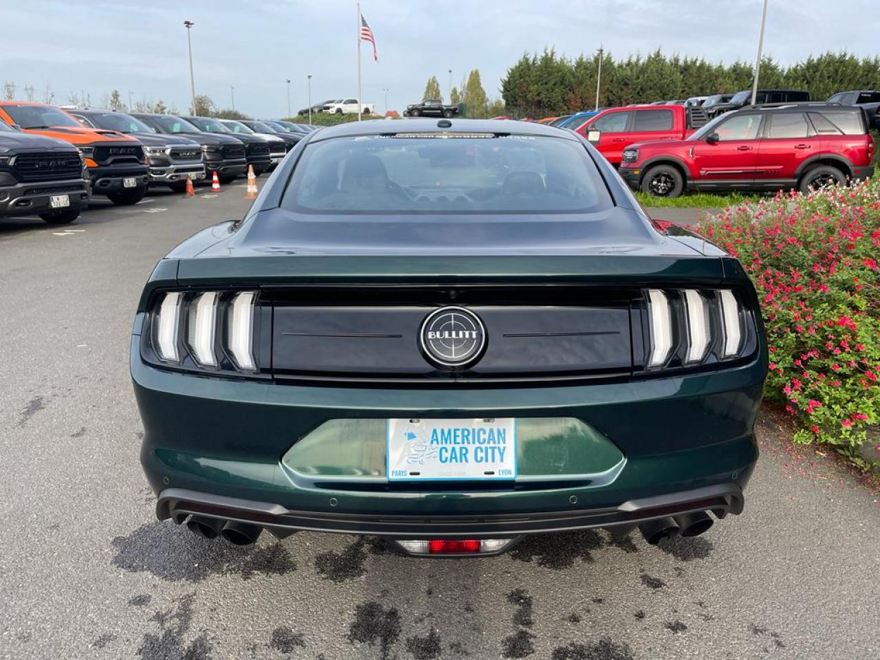 FORD MUSTANG BULLITT V8 5.0L MAGNERIDE
