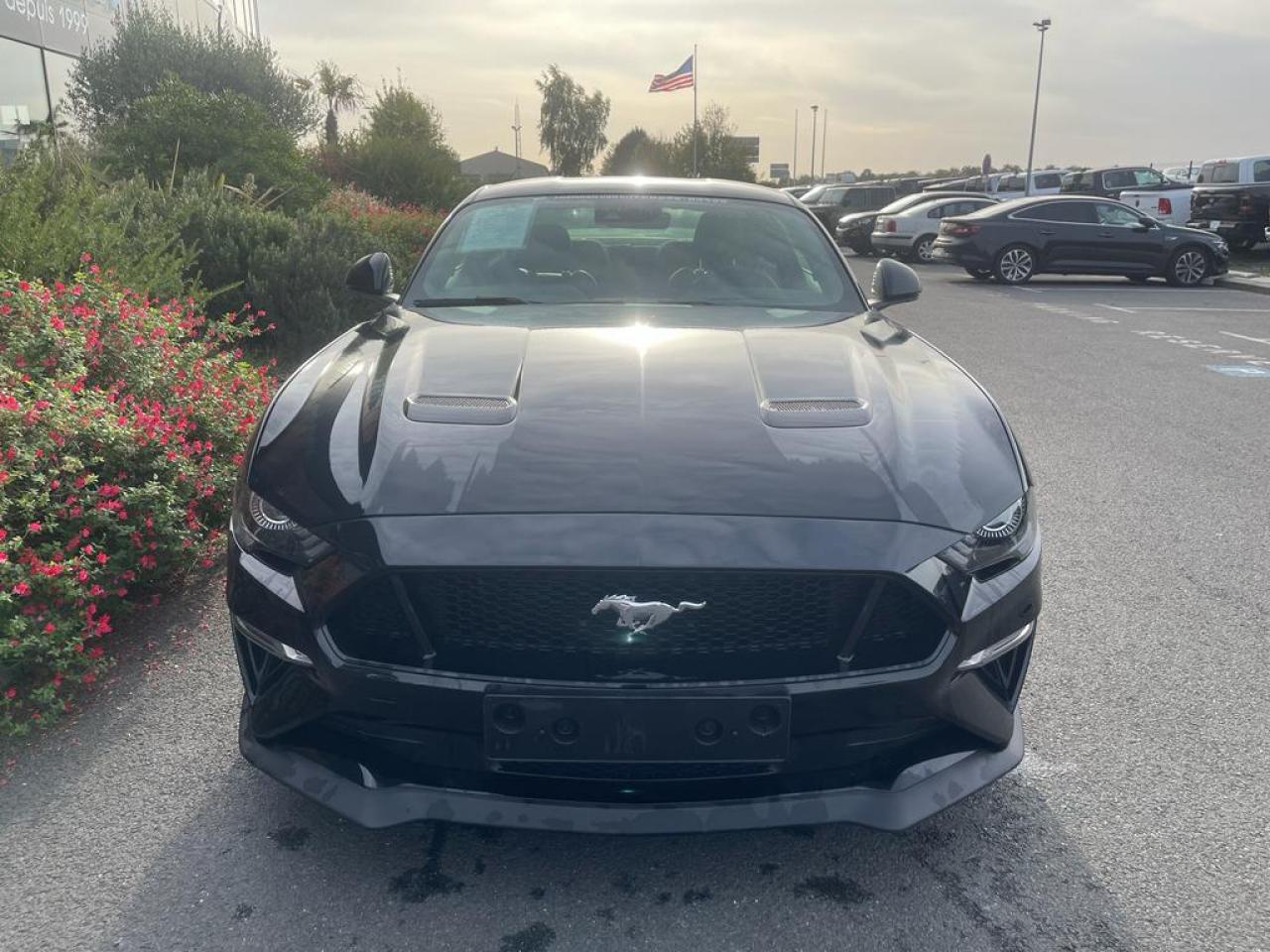 FORD MUSTANG GT V8 5.0L BVA