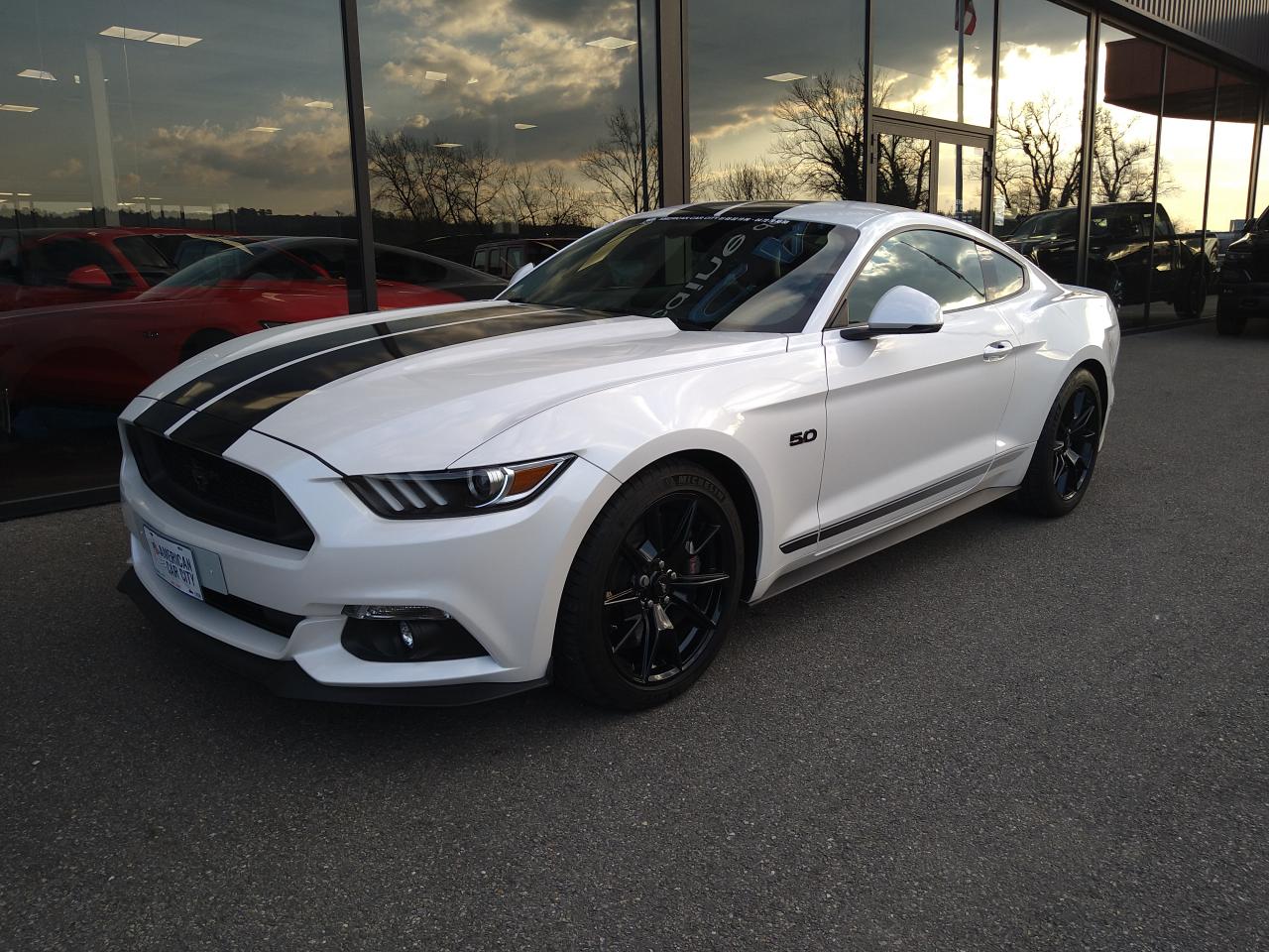 FORD MUSTANG GT fastback Black Shadow Edition V8 5.0L