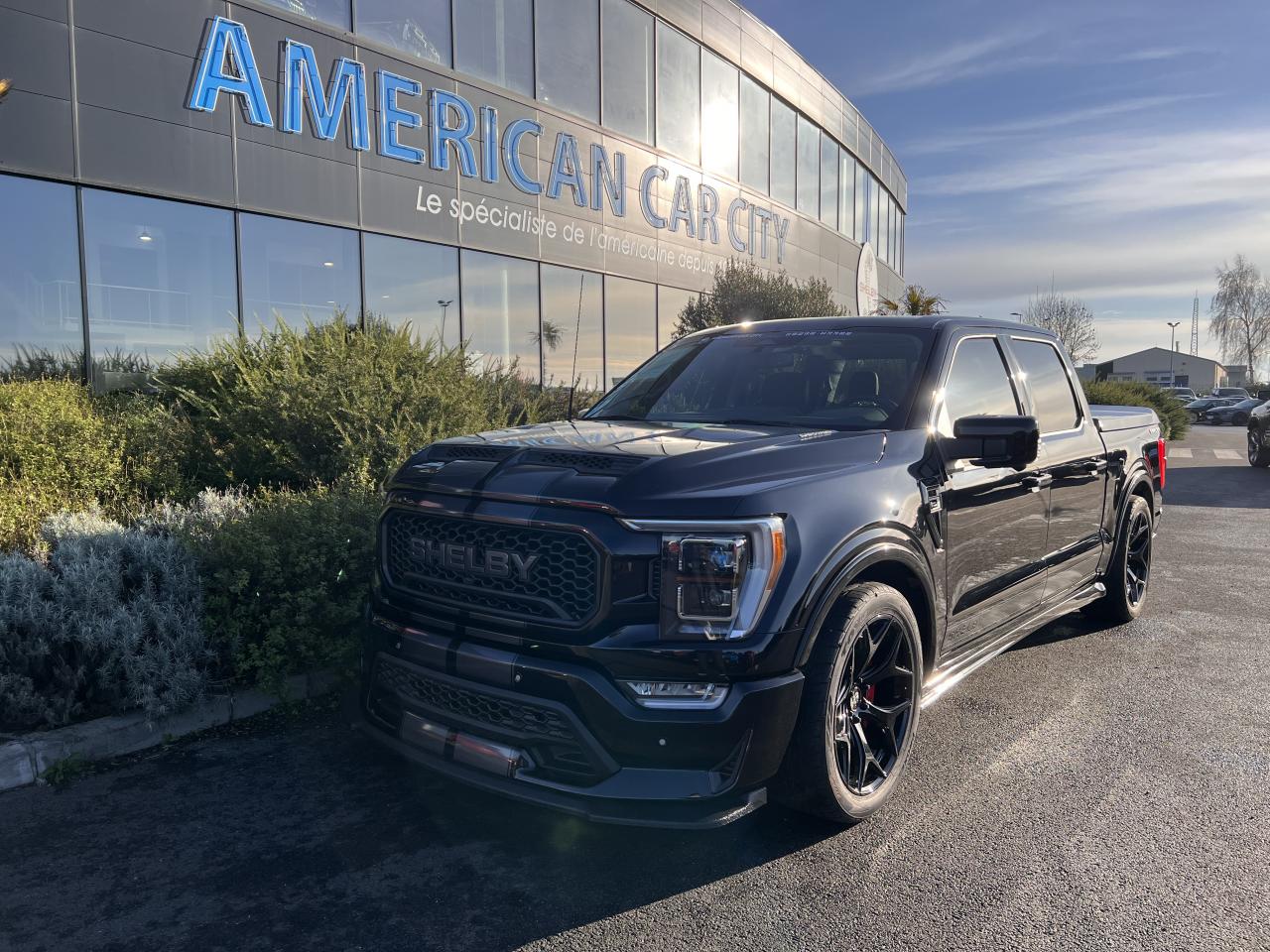 FORD F150 SHELBY SUPERSNAKE V8 5.0L
