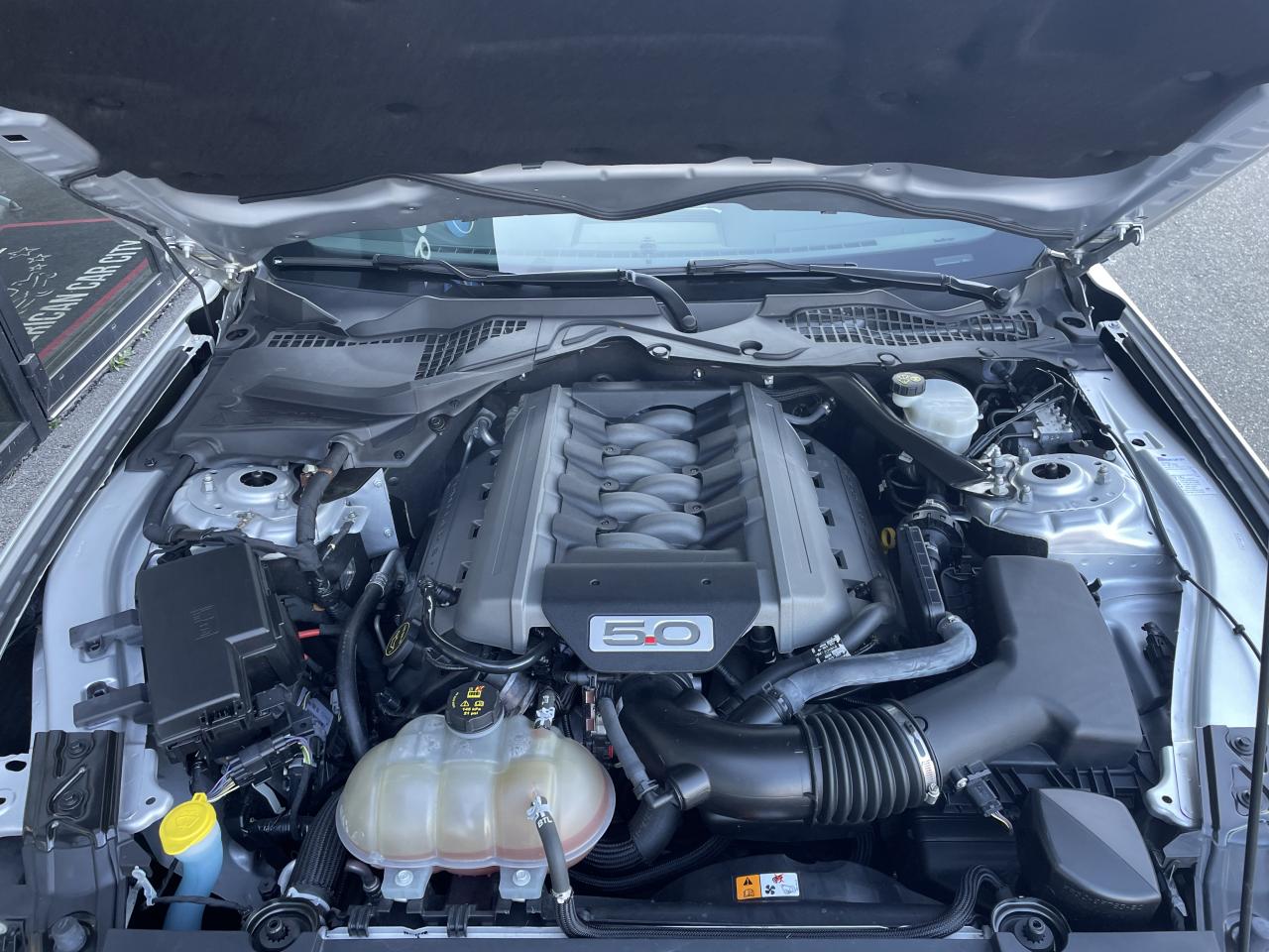 FORD MUSTANG Fastback 5.0 V8 GT - Malus Payé