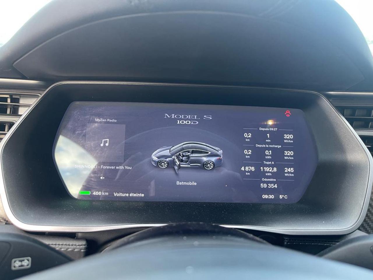 TESLA MODEL S 100D Dual motor