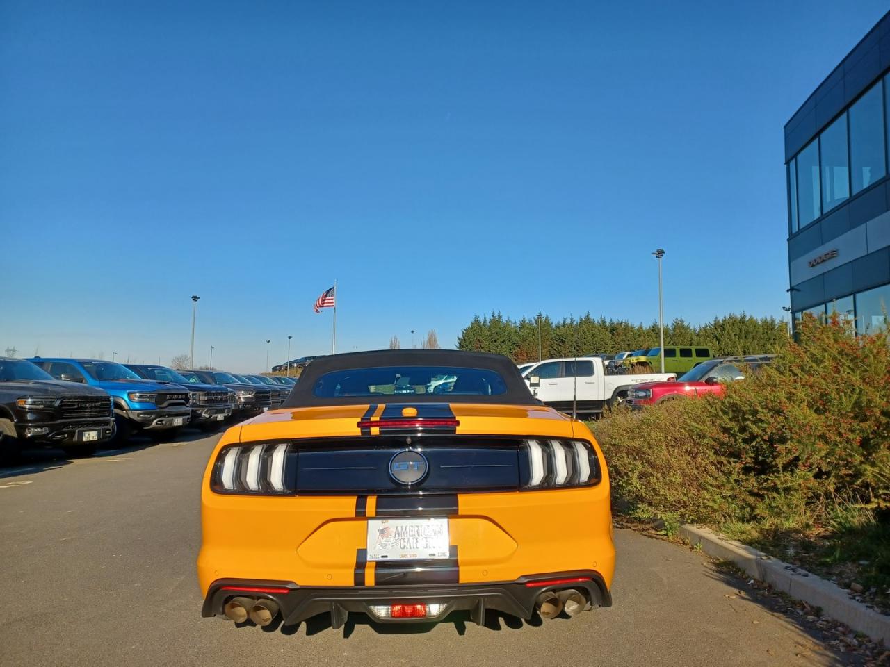 FORD MUSTANG GT Cabriolet V8 5.0L