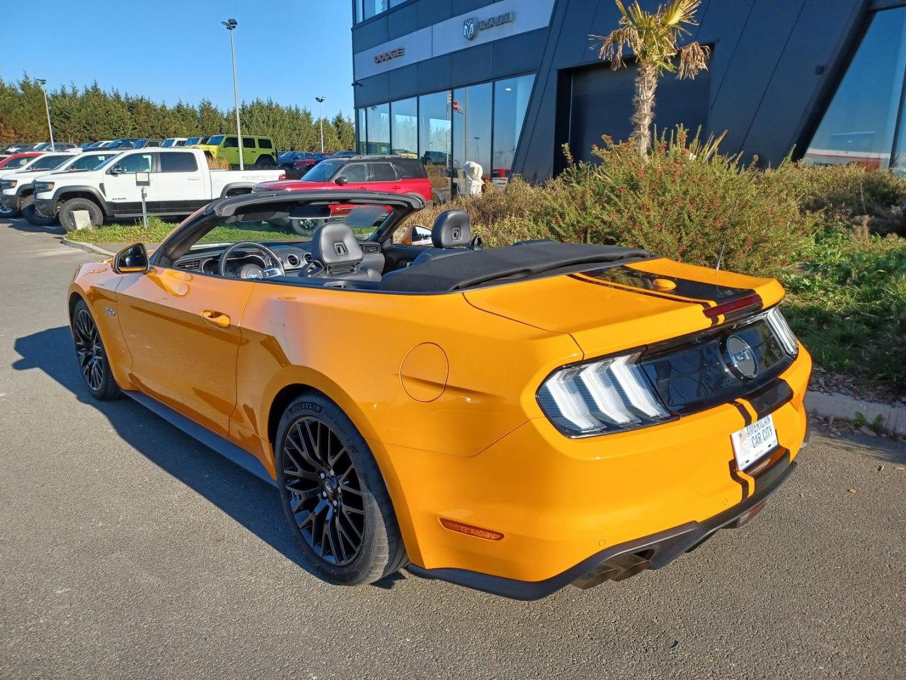FORD MUSTANG GT Cabriolet V8 5.0L