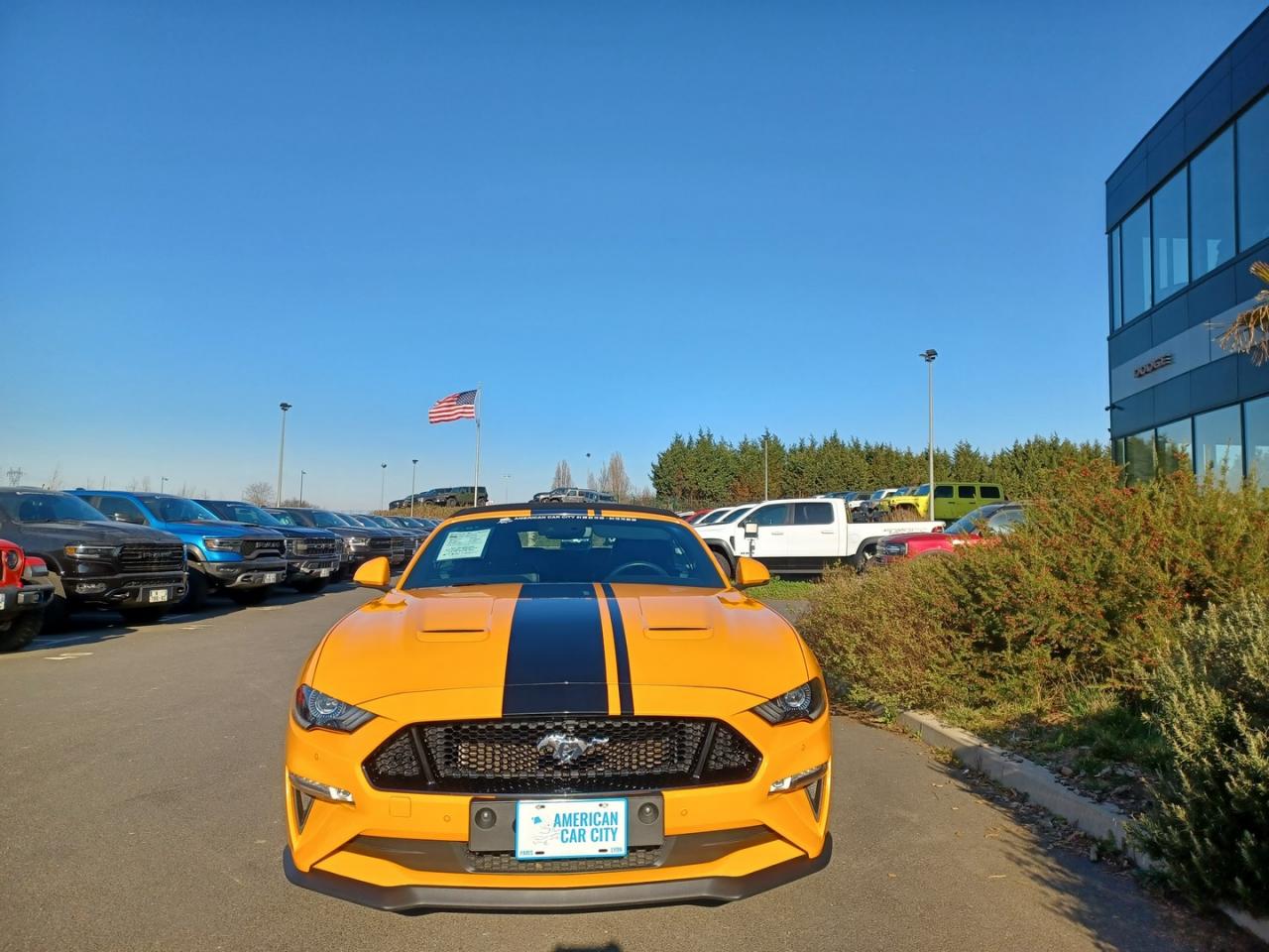 FORD MUSTANG GT Cabriolet V8 5.0L