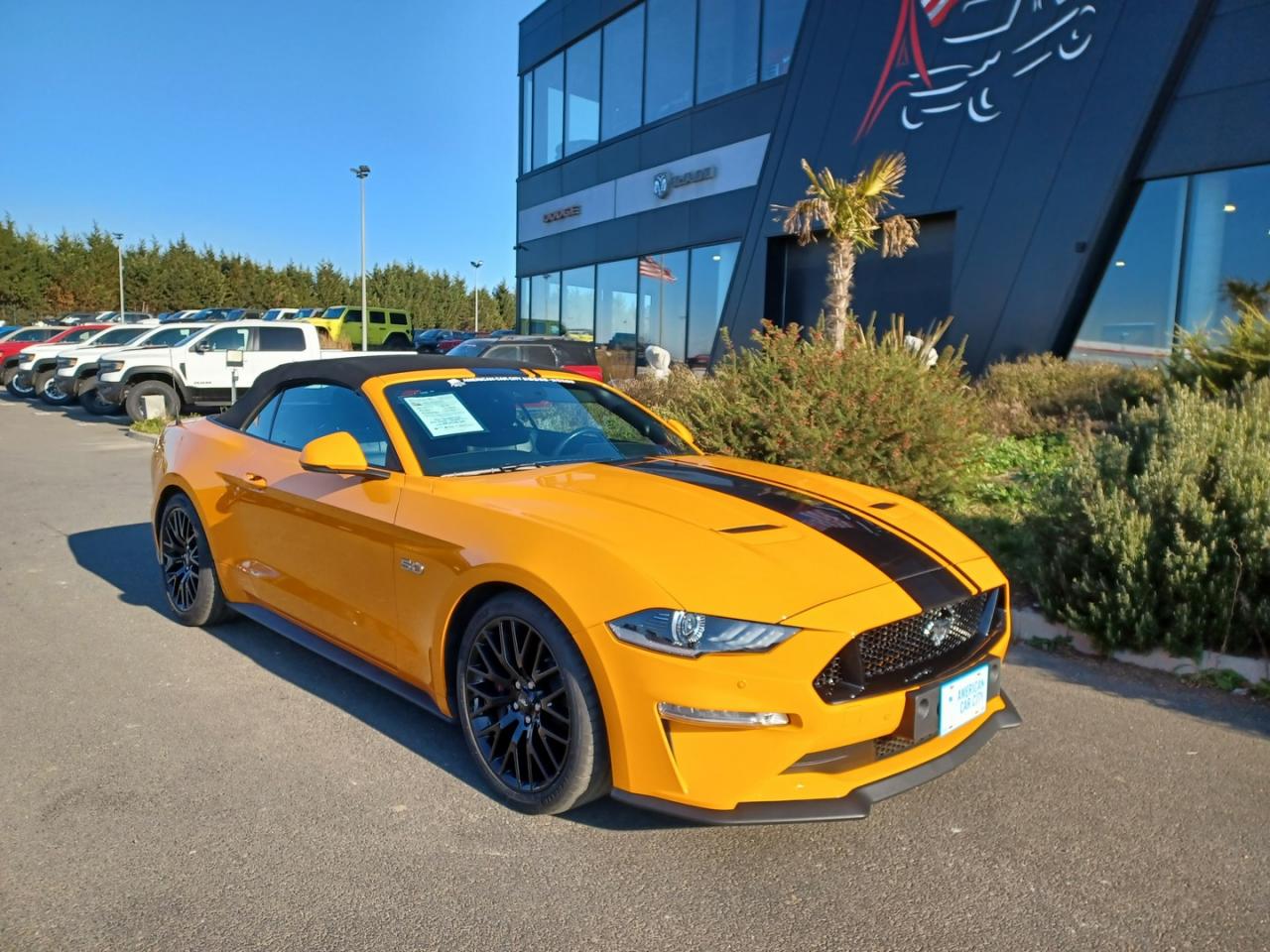 FORD MUSTANG GT Cabriolet V8 5.0L