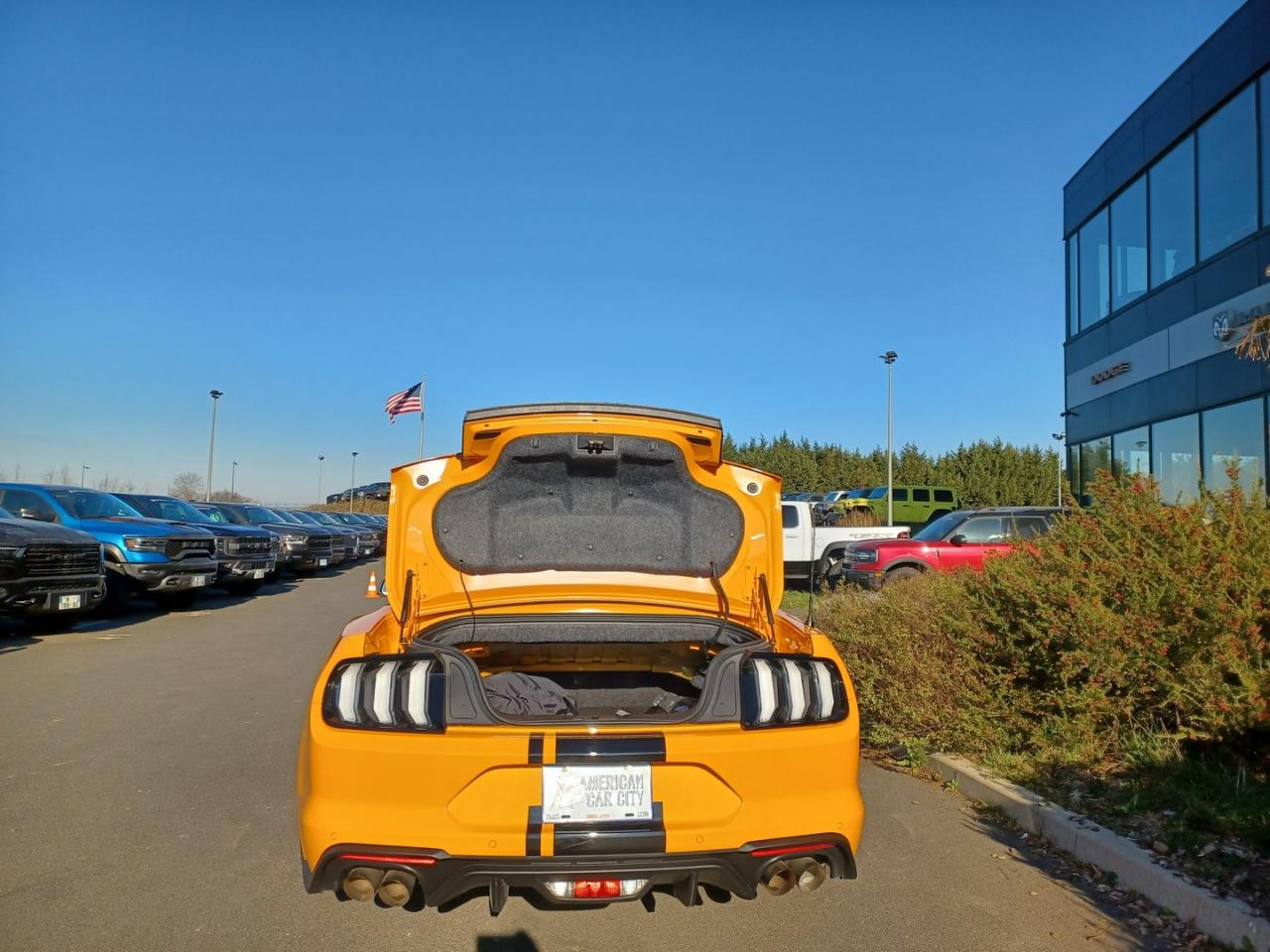 FORD MUSTANG GT Cabriolet V8 5.0L
