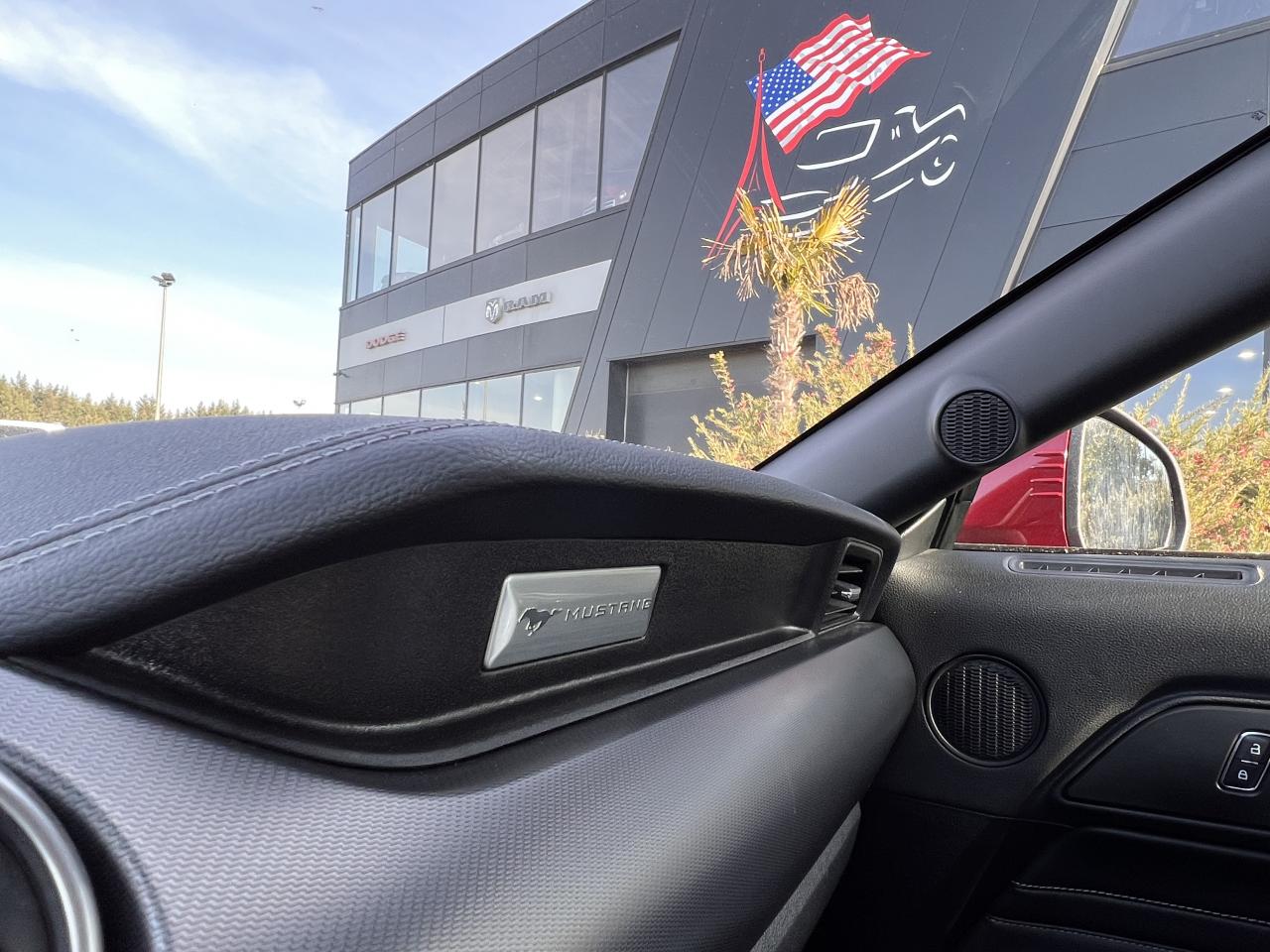 FORD MUSTANG GT CABRIOLET V8 5.0L BVA10