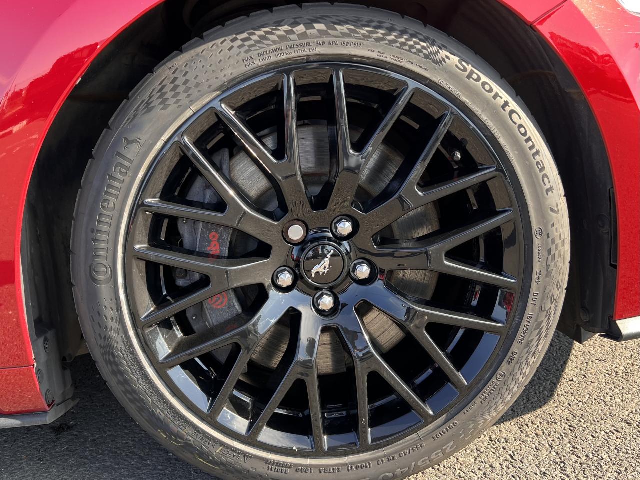 FORD MUSTANG GT CABRIOLET V8 5.0L BVA10