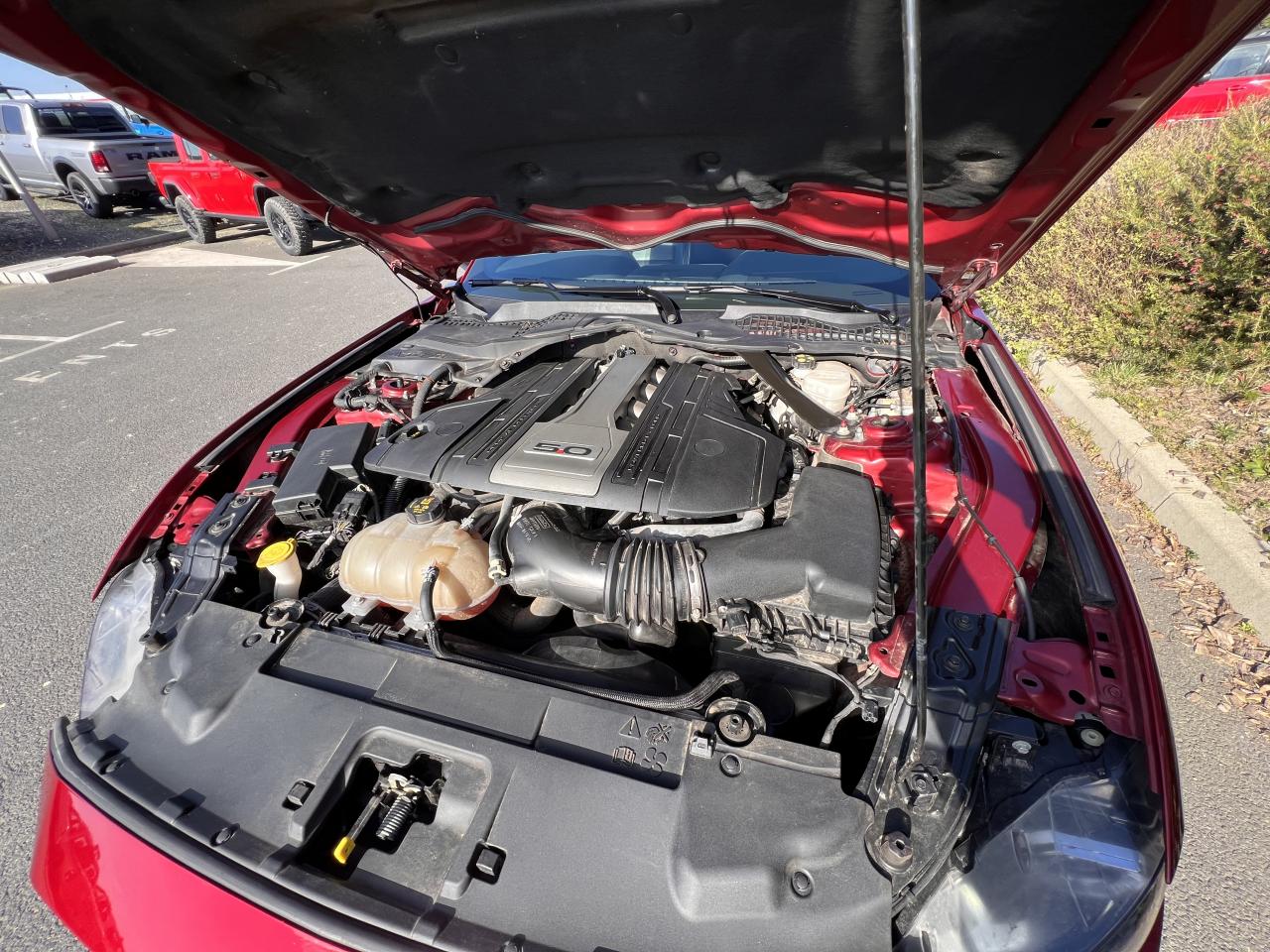 FORD MUSTANG GT CABRIOLET V8 5.0L BVA10