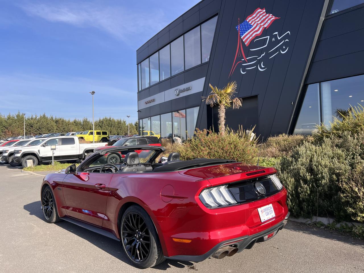 FORD MUSTANG GT CABRIOLET V8 5.0L BVA10