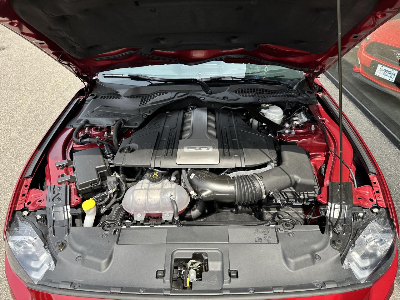 FORD MUSTANG GT CABRIOLET V8 5.0L BVA10