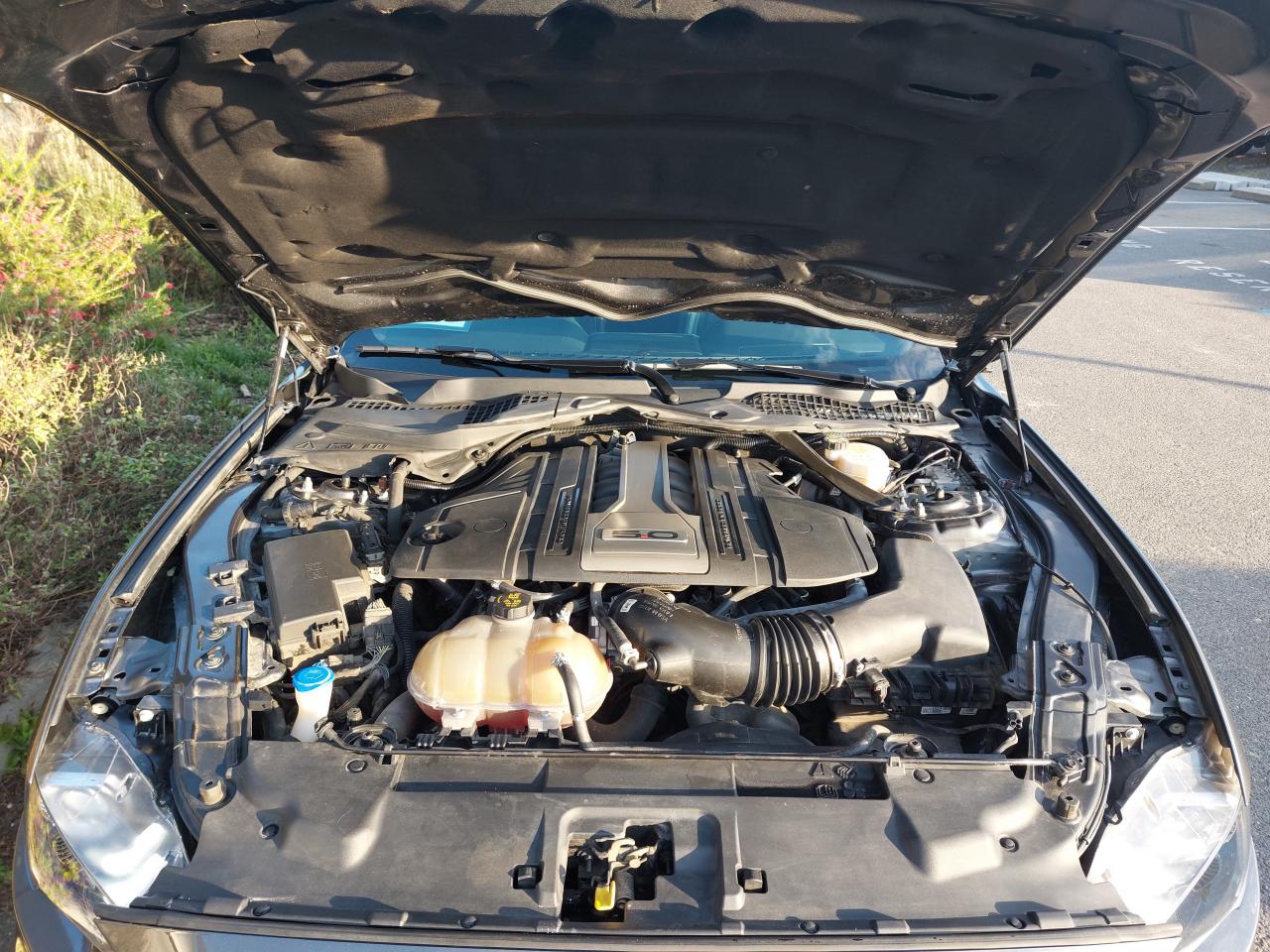 FORD MUSTANG GT Fastback V8 5.0L BVA