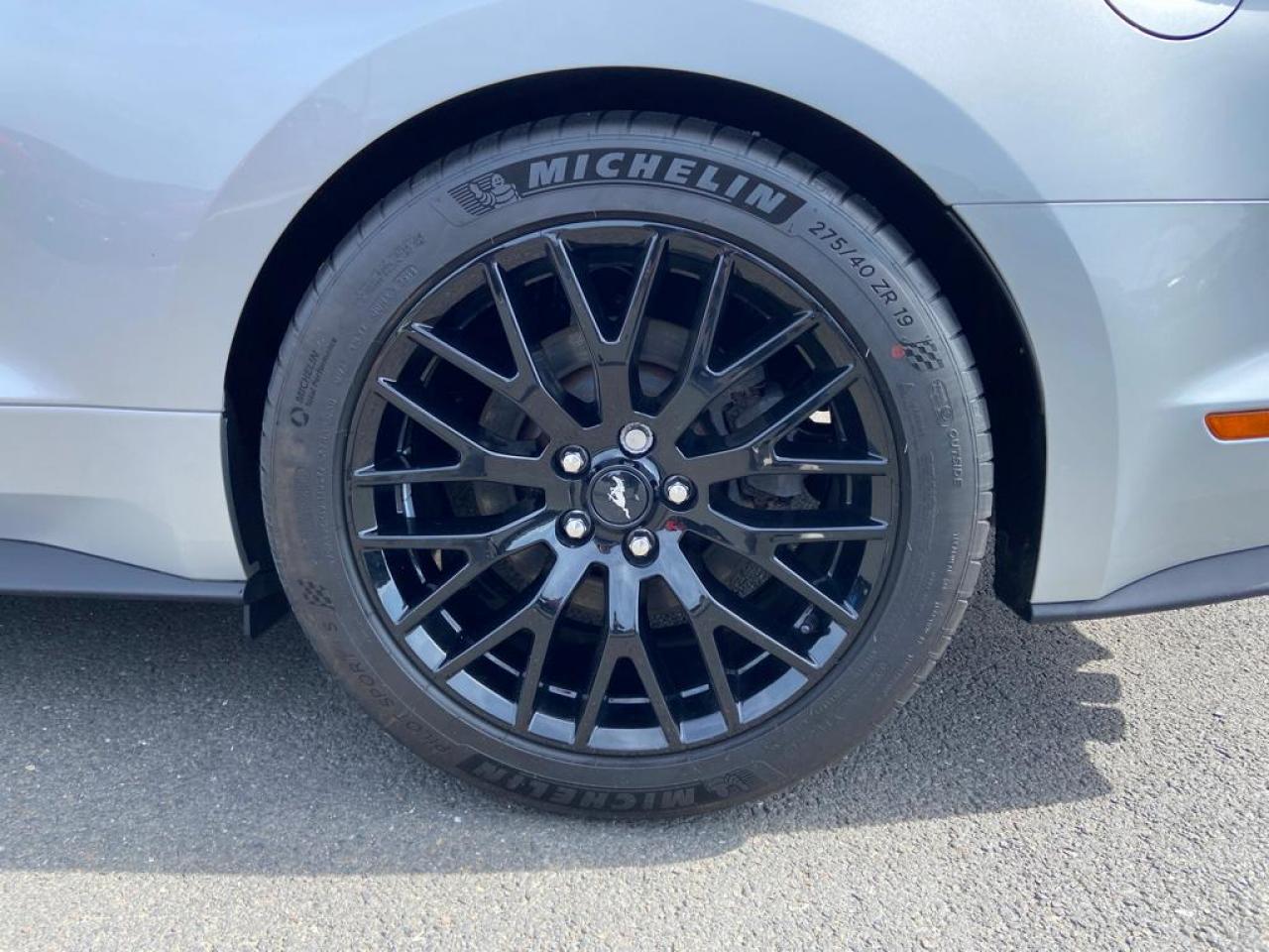 FORD MUSTANG GT V8 5.0L BVA