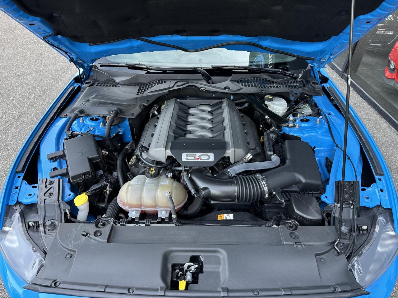 FORD MUSTANG Fastback 5.0 V8 Ti-VCT - 421 - BVA Blue Edition - Malus Payé