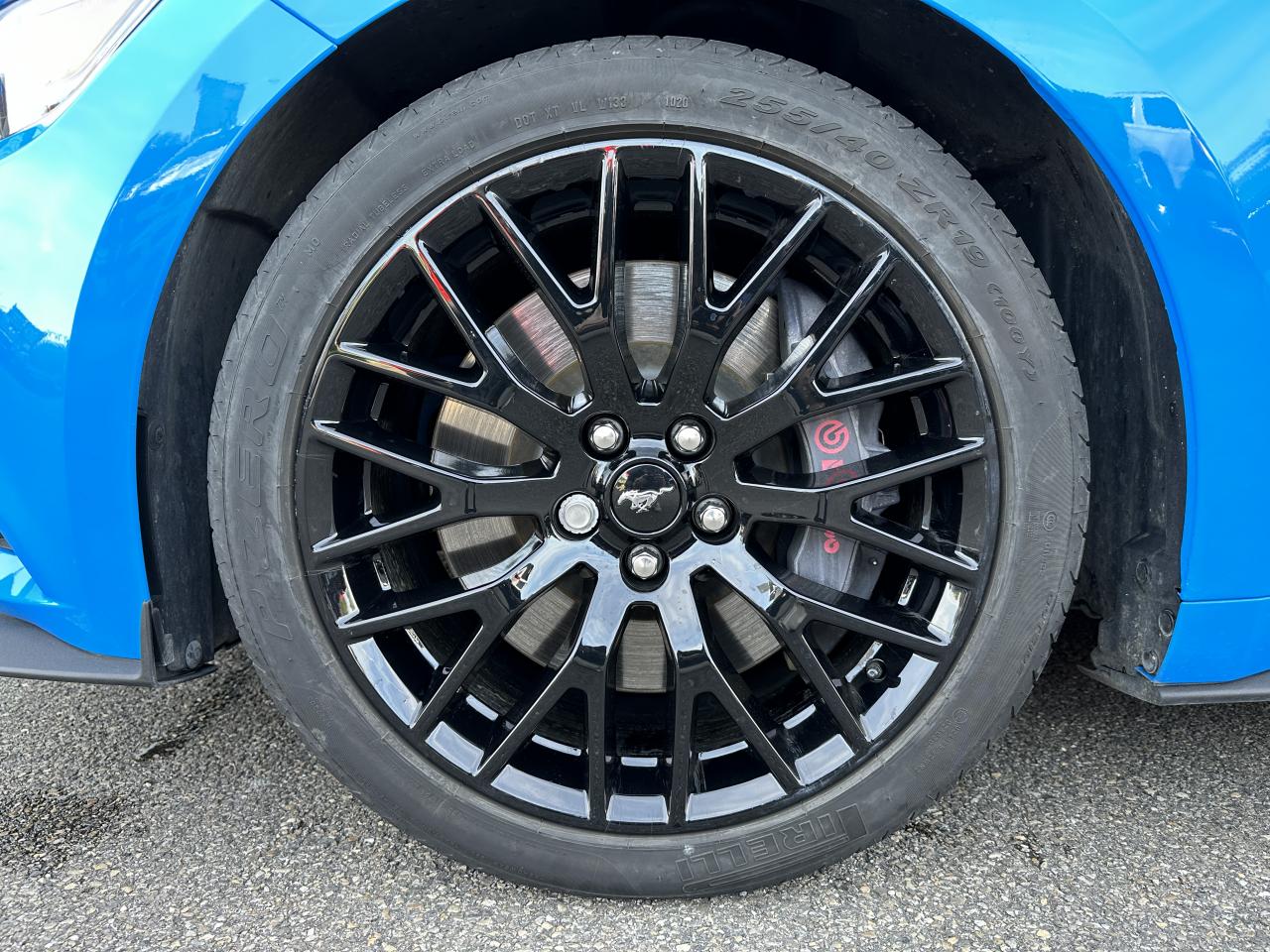 FORD MUSTANG Fastback 5.0 V8 Ti-VCT - 421 - BVA Blue Edition - Malus Payé