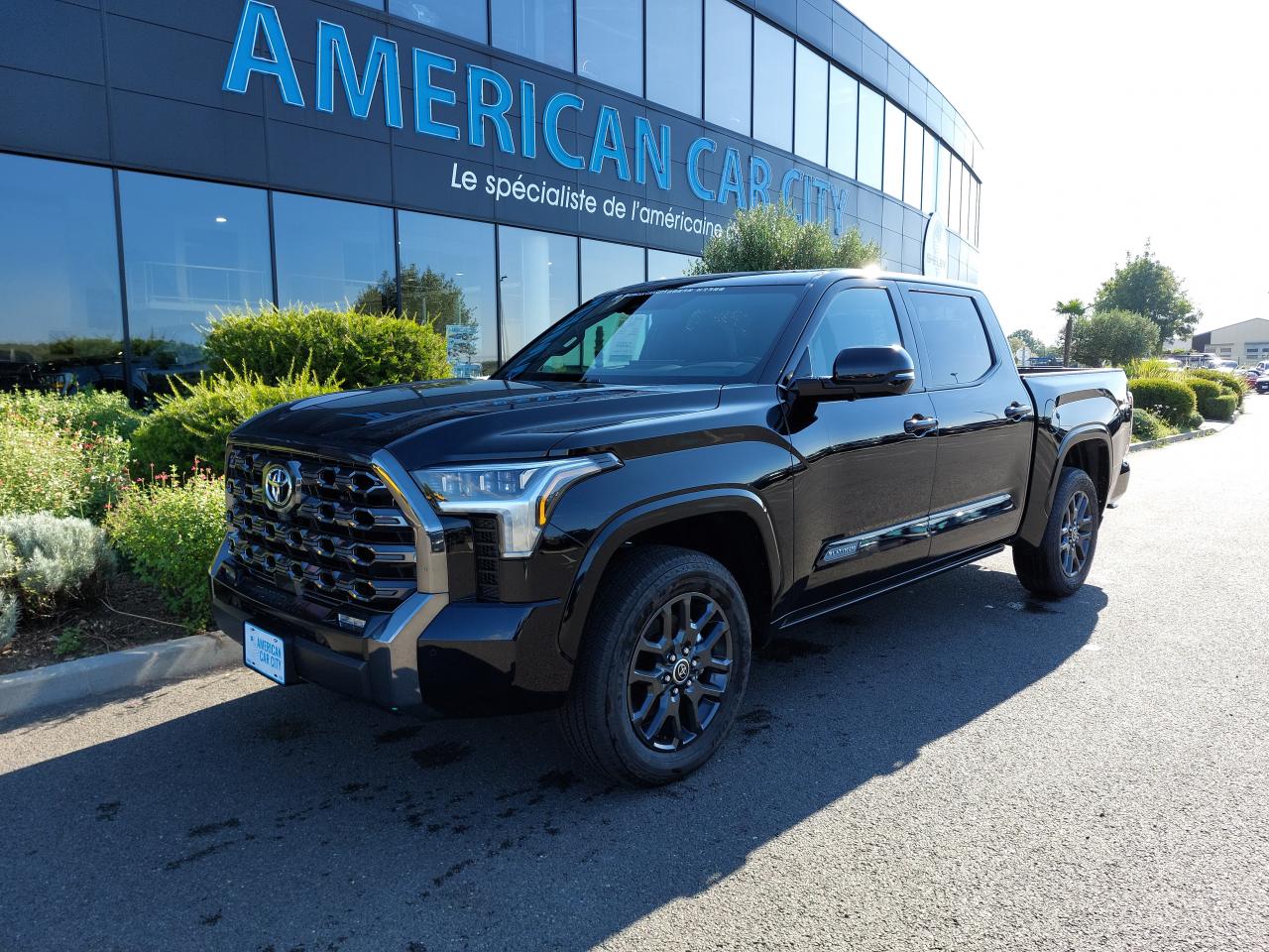 TOYOTA TUNDRA Crewmax PLATINUM