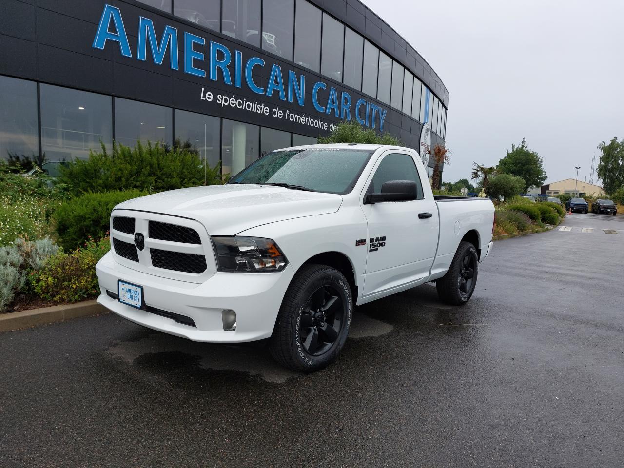 DODGE RAM 1500 REGULAR CAB TRADESMAN