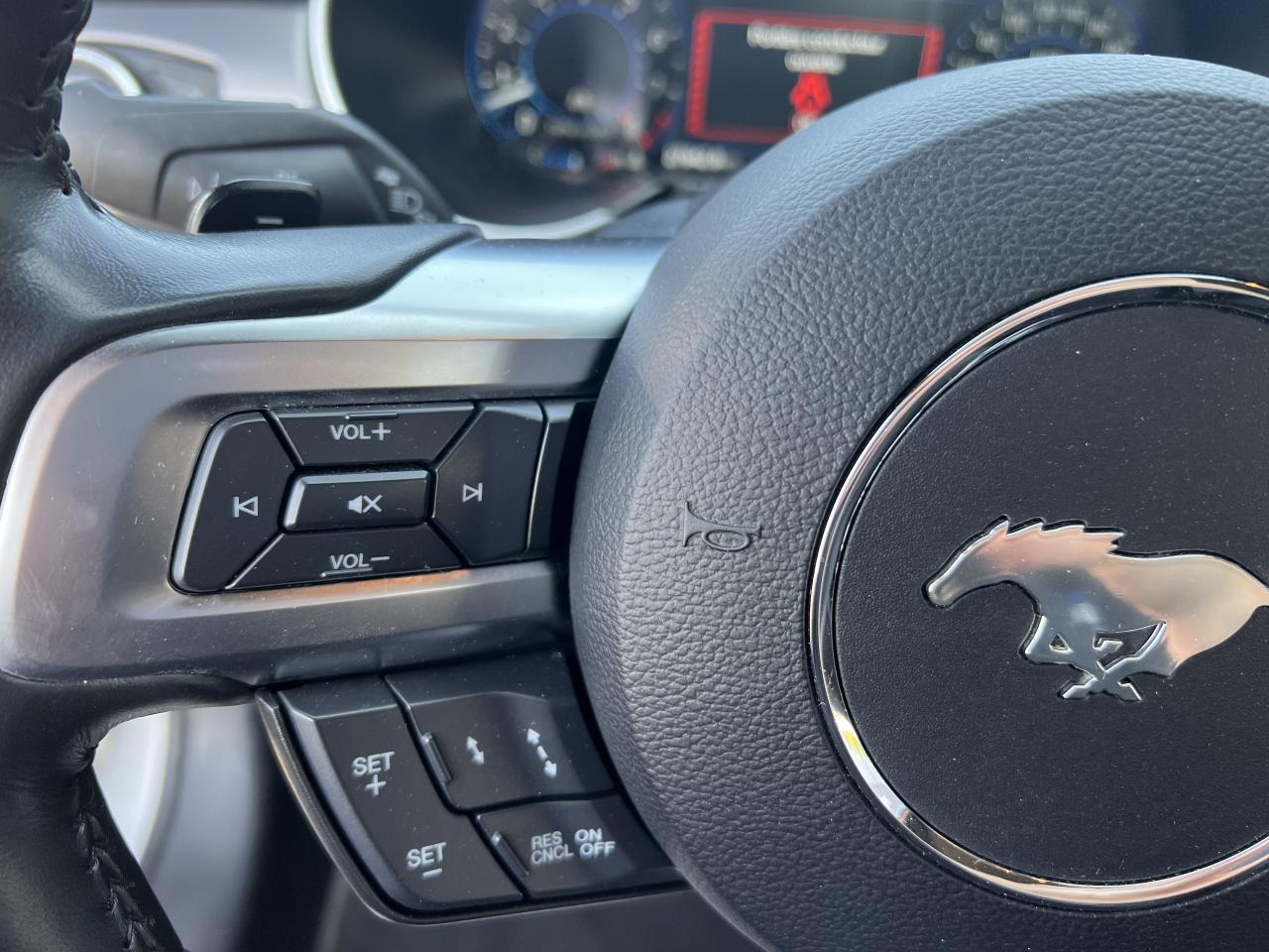 FORD MUSTANG GT CABRIOLET V8 5.0L BVA10
