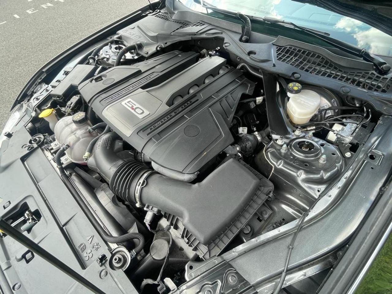 FORD MUSTANG FORD GT V8 5.0L PAS DE MALUS