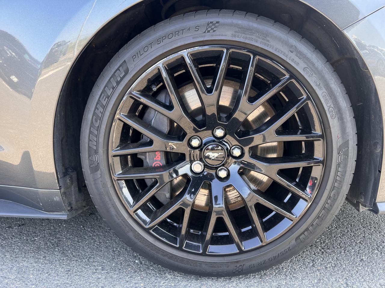 FORD MUSTANG GT V8 5.0L BVA10 2018