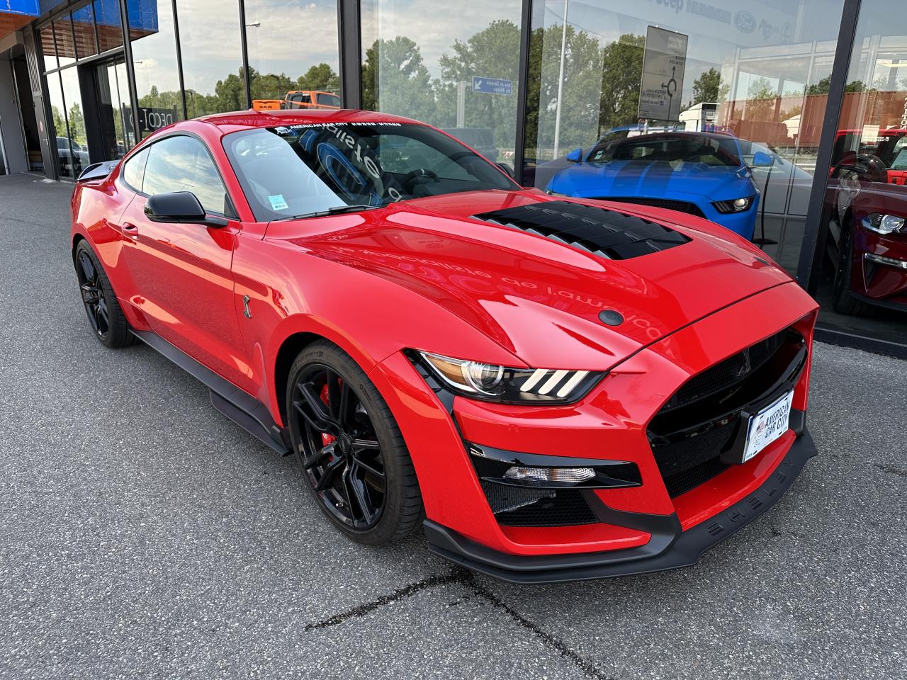FORD MUSTANG Shelby GT500 - Malus Payé