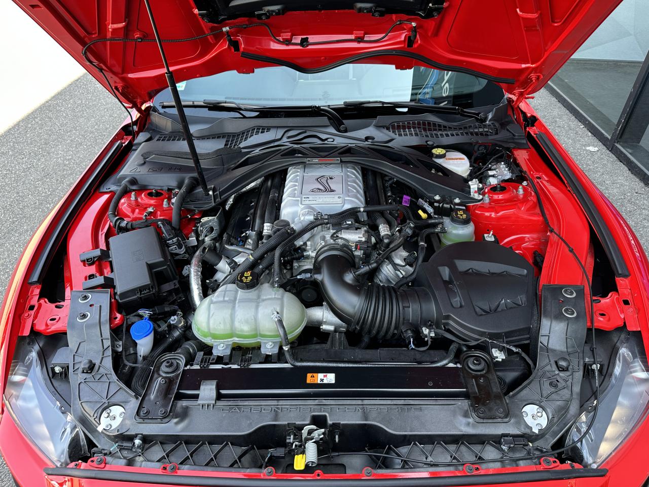 FORD MUSTANG Shelby GT500 - Malus Payé