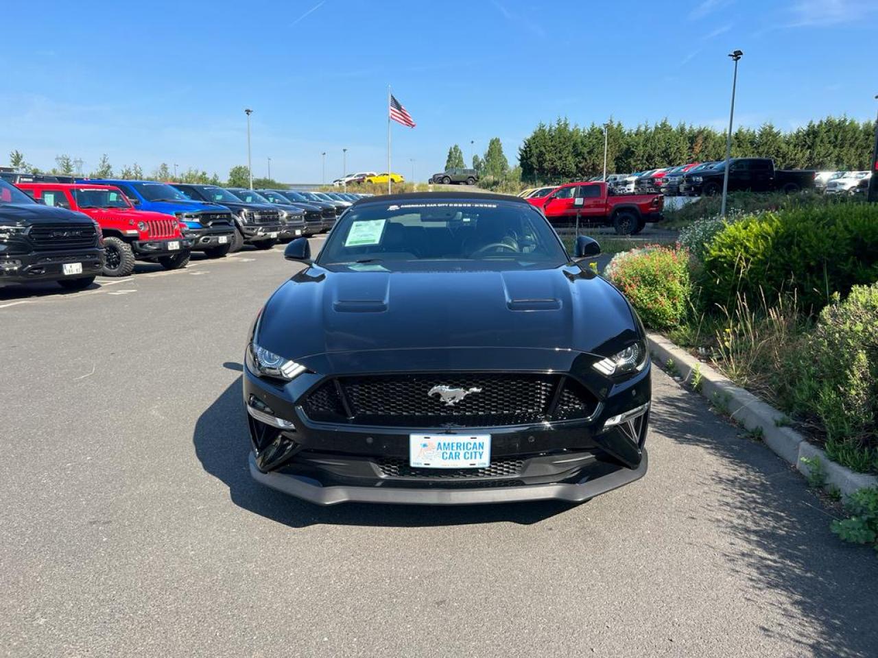 FORD MUSTANG GT CABRIOLET V8 5.0L BVA10