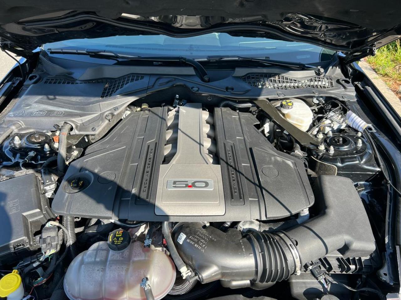 FORD MUSTANG GT CABRIOLET V8 5.0L BVA10