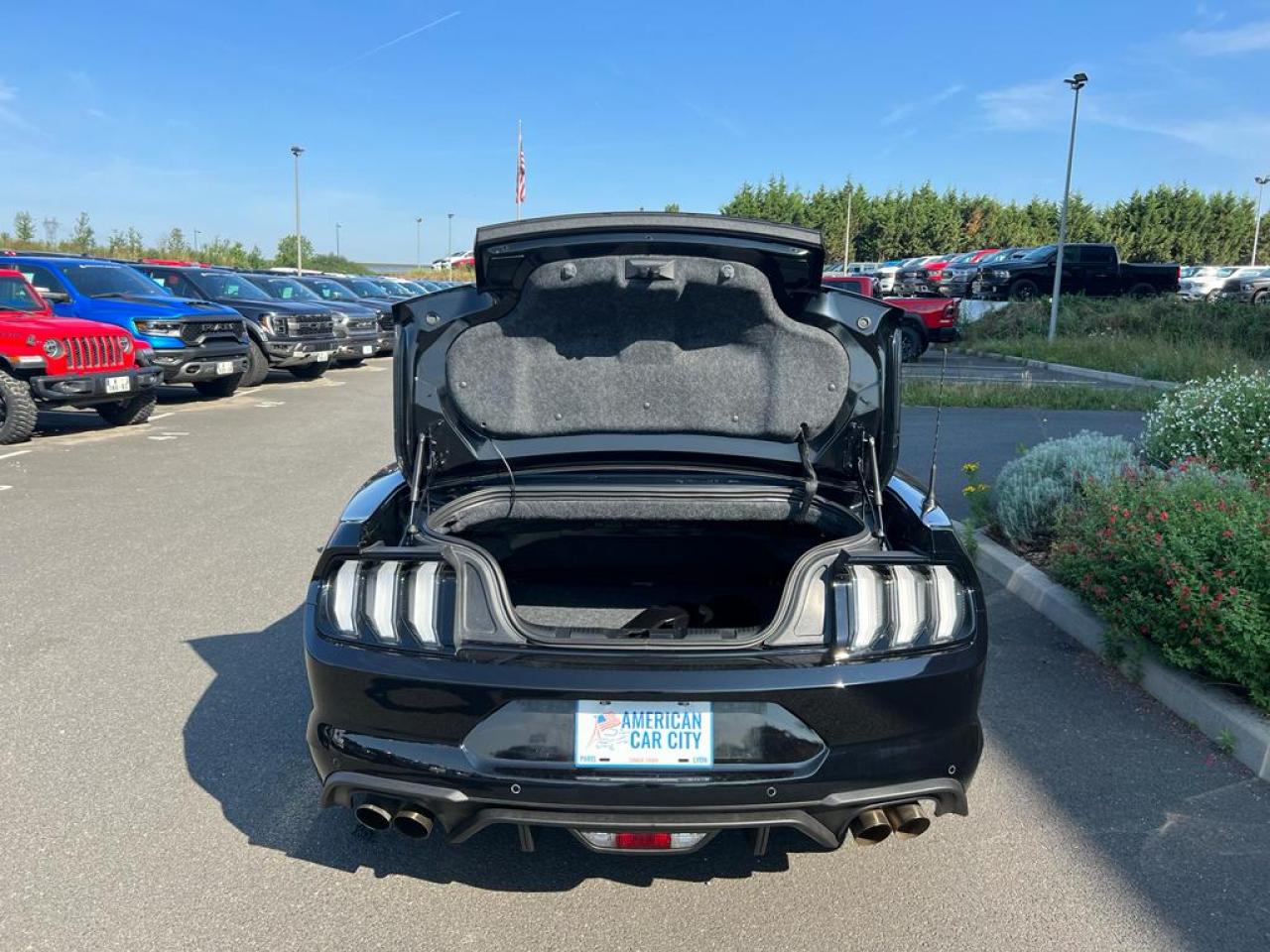 FORD MUSTANG GT CABRIOLET V8 5.0L BVA10