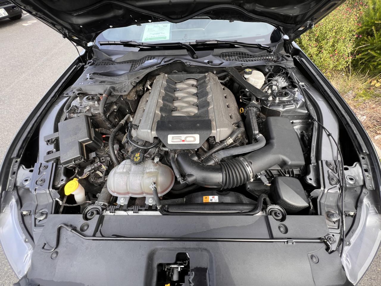 FORD MUSTANG GT fastback V8 5.0L