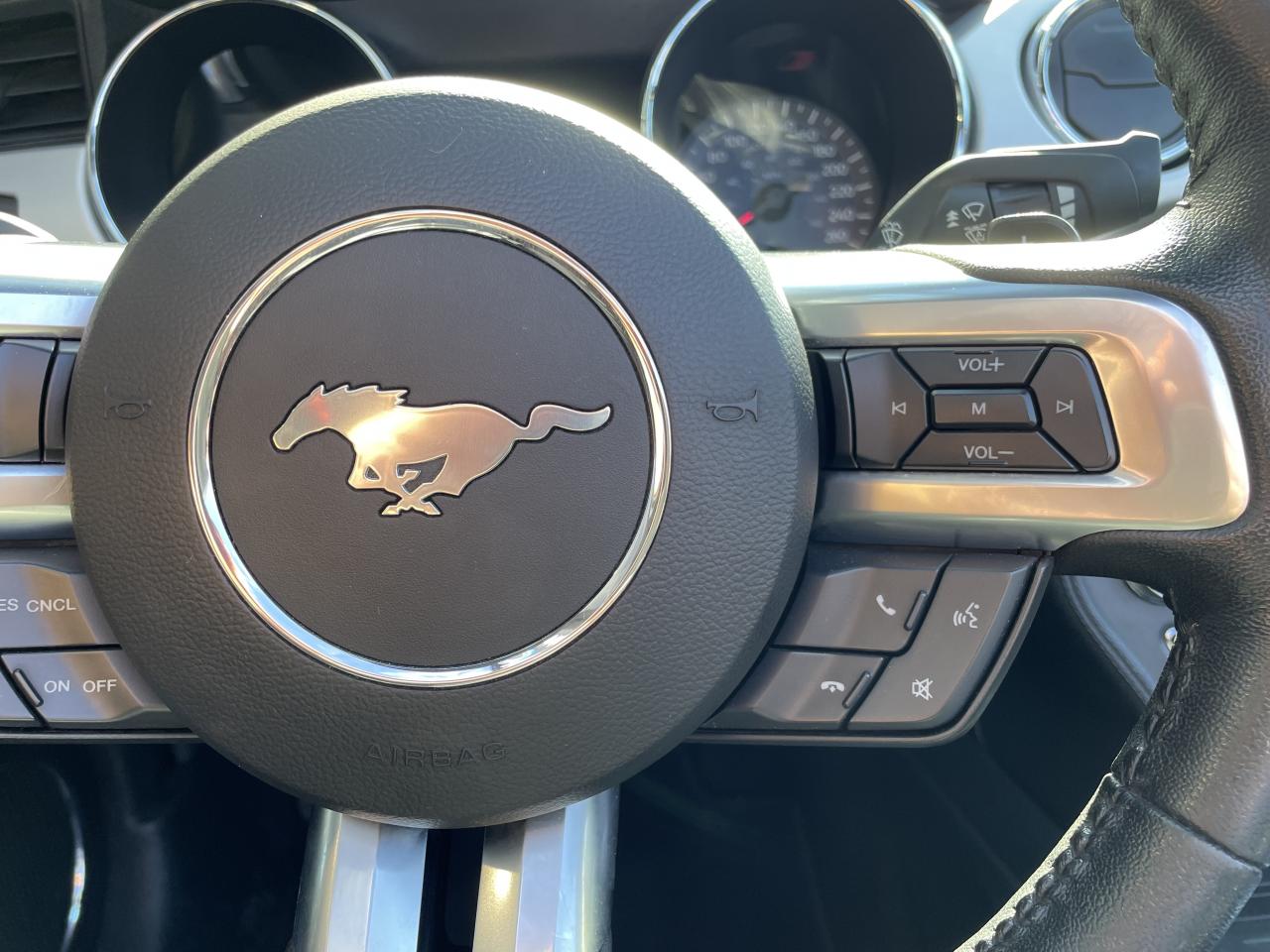 FORD MUSTANG GT CABRIOLET V8 5.0L BVA