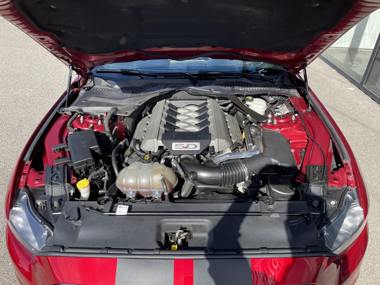 FORD MUSTANG GT CABRIOLET V8 5.0L BVA