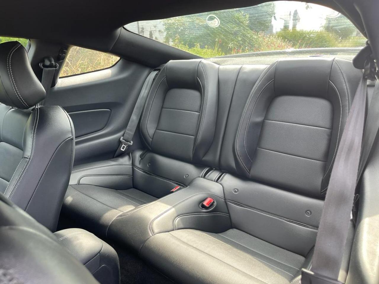 FORD MUSTANG GT 5.0L V8 BVM 2018