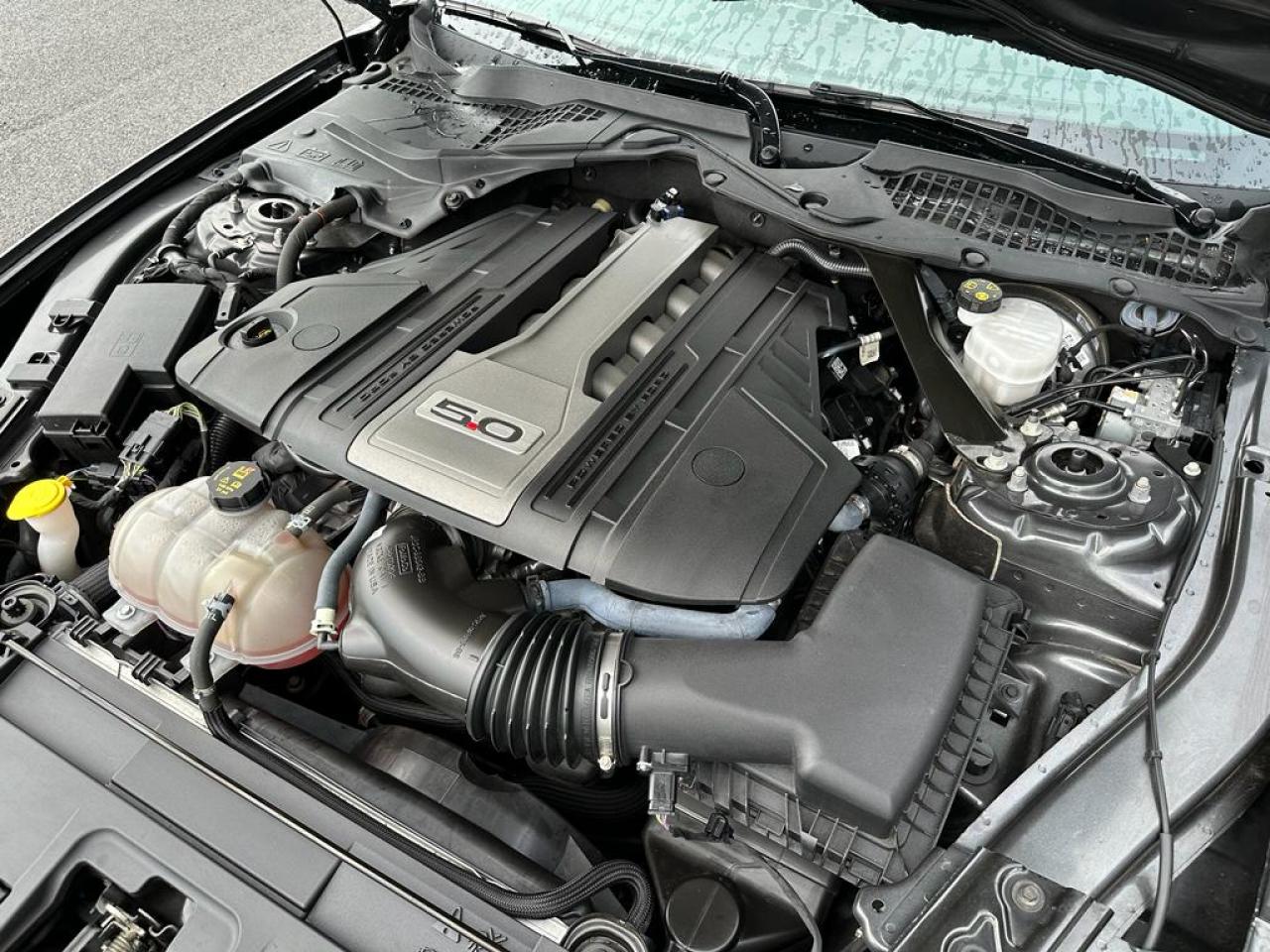 FORD MUSTANG GT CABRIOLET V8 5.0L BVA10