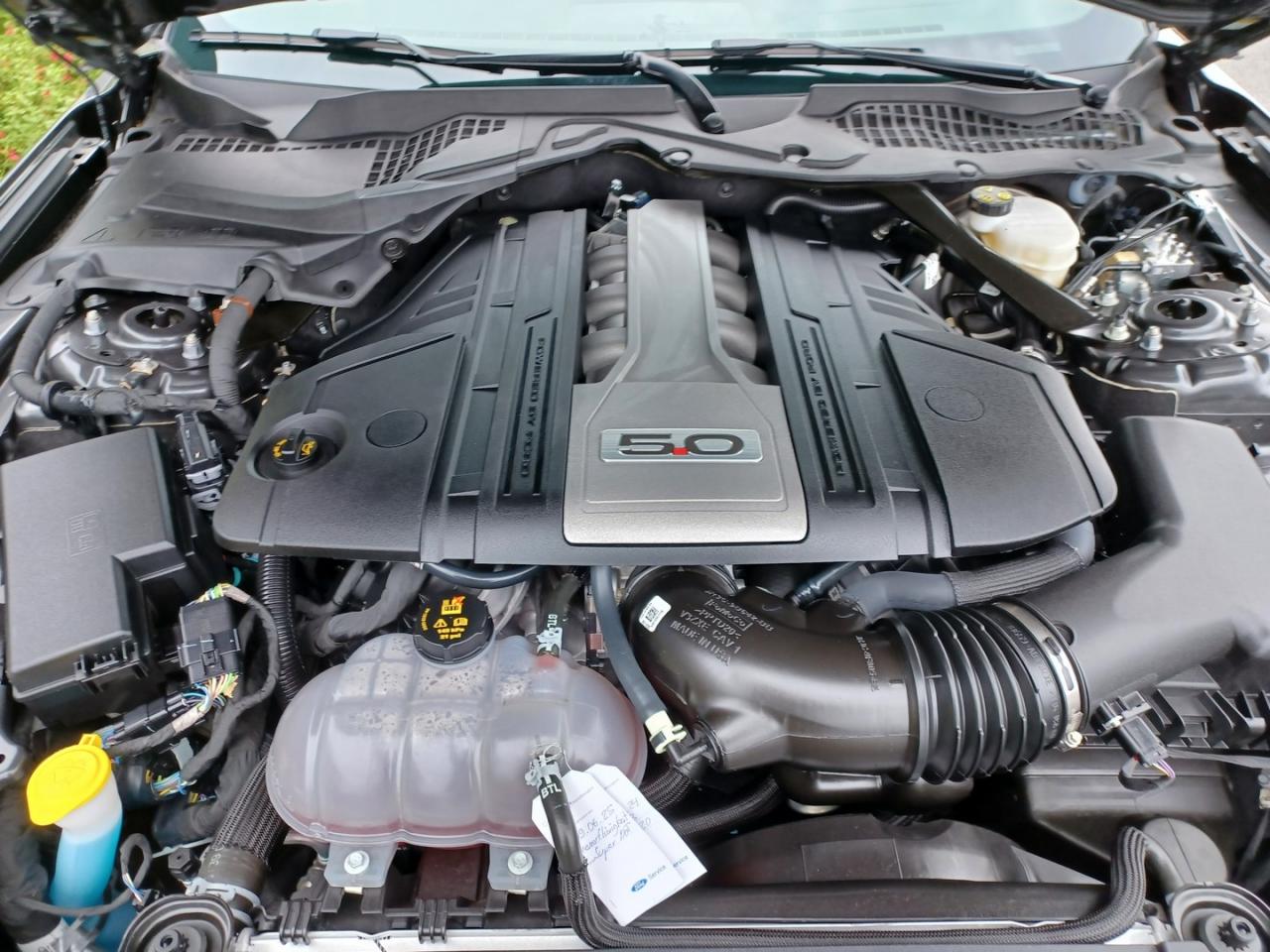 FORD MUSTANG GT CABRIOLET V8 5.0L BVA10