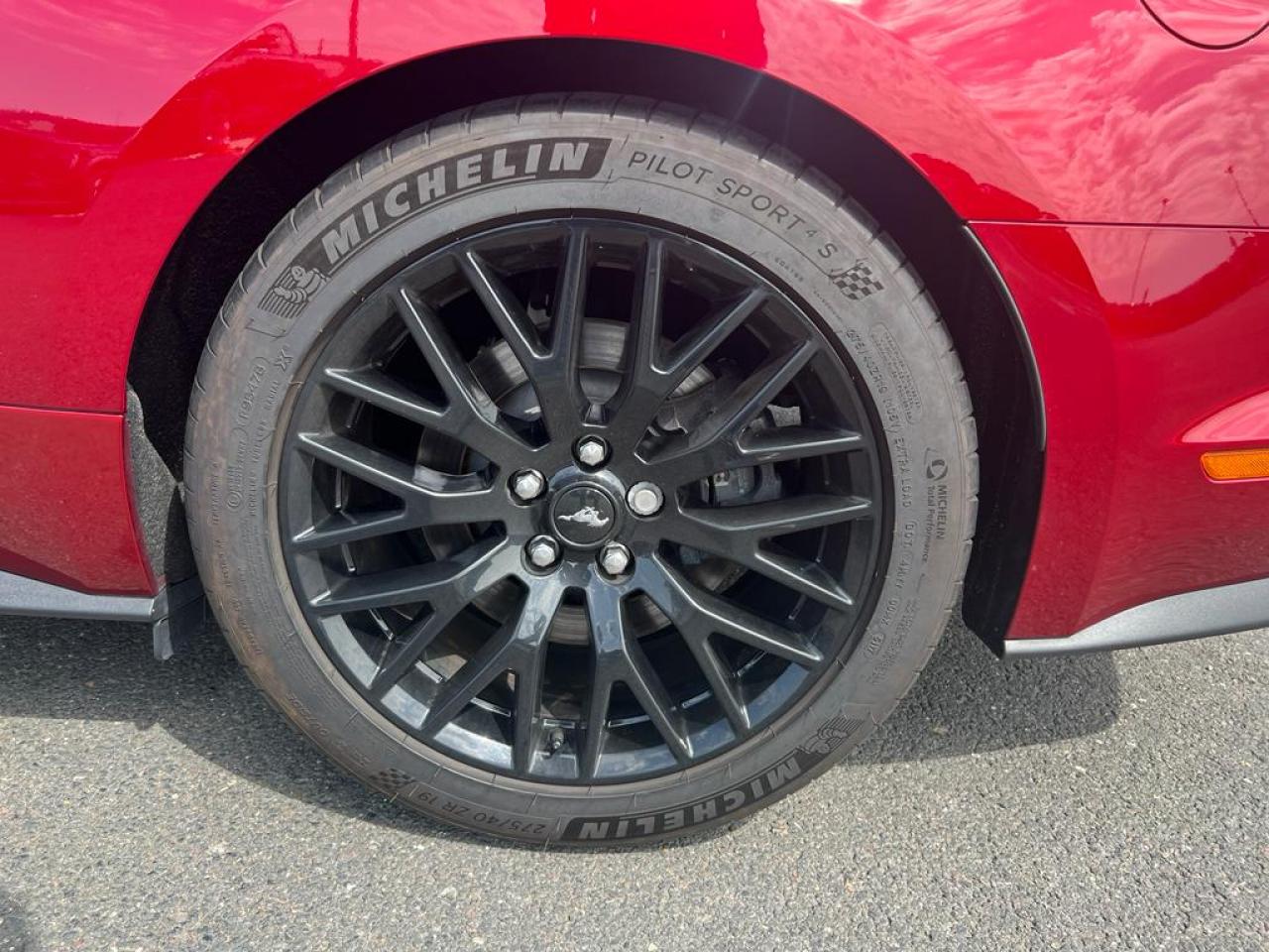FORD MUSTANG GT V8 5.0L BVM