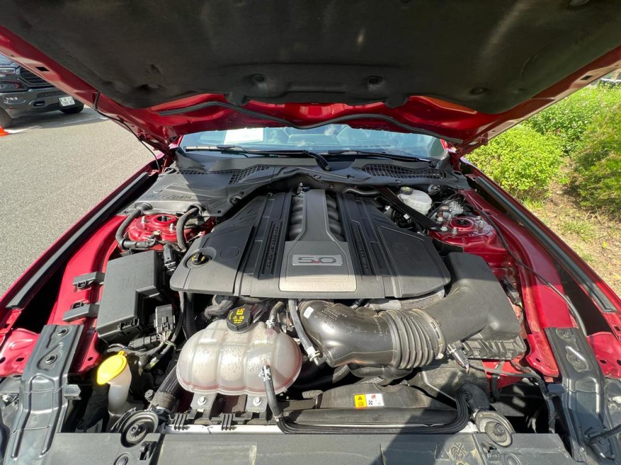 FORD MUSTANG GT V8 5.0L BVM