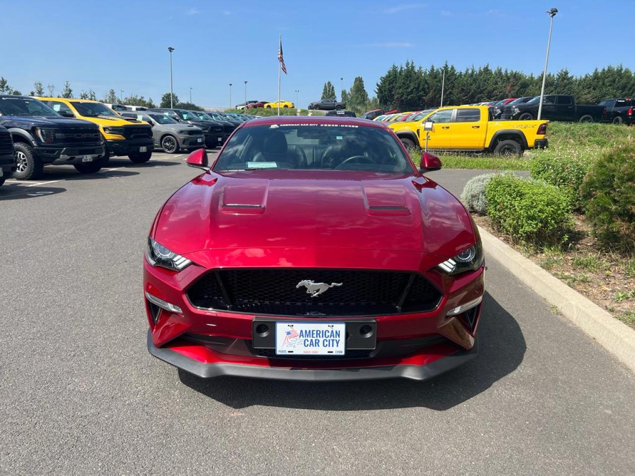 FORD MUSTANG GT V8 5.0L BVM