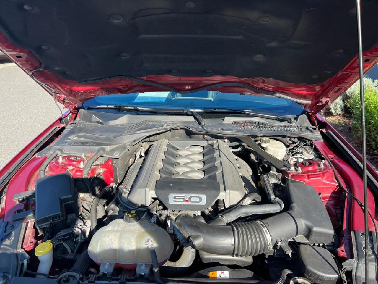 FORD MUSTANG GT V8 5.0L BVA