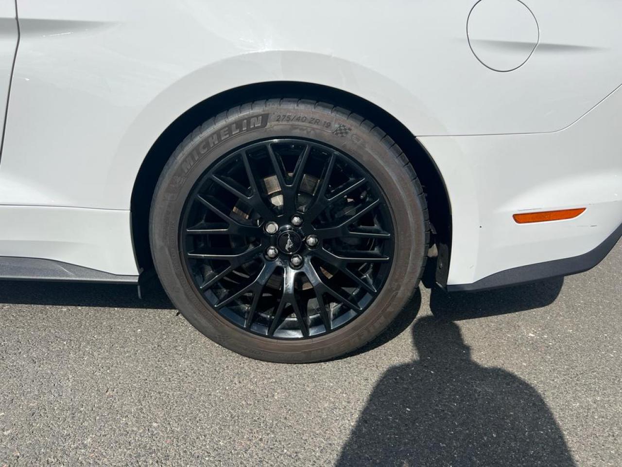FORD MUSTANG GT V8 5.0L BVA